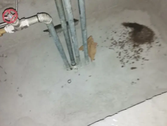 方正卫生间测漏水价格明细